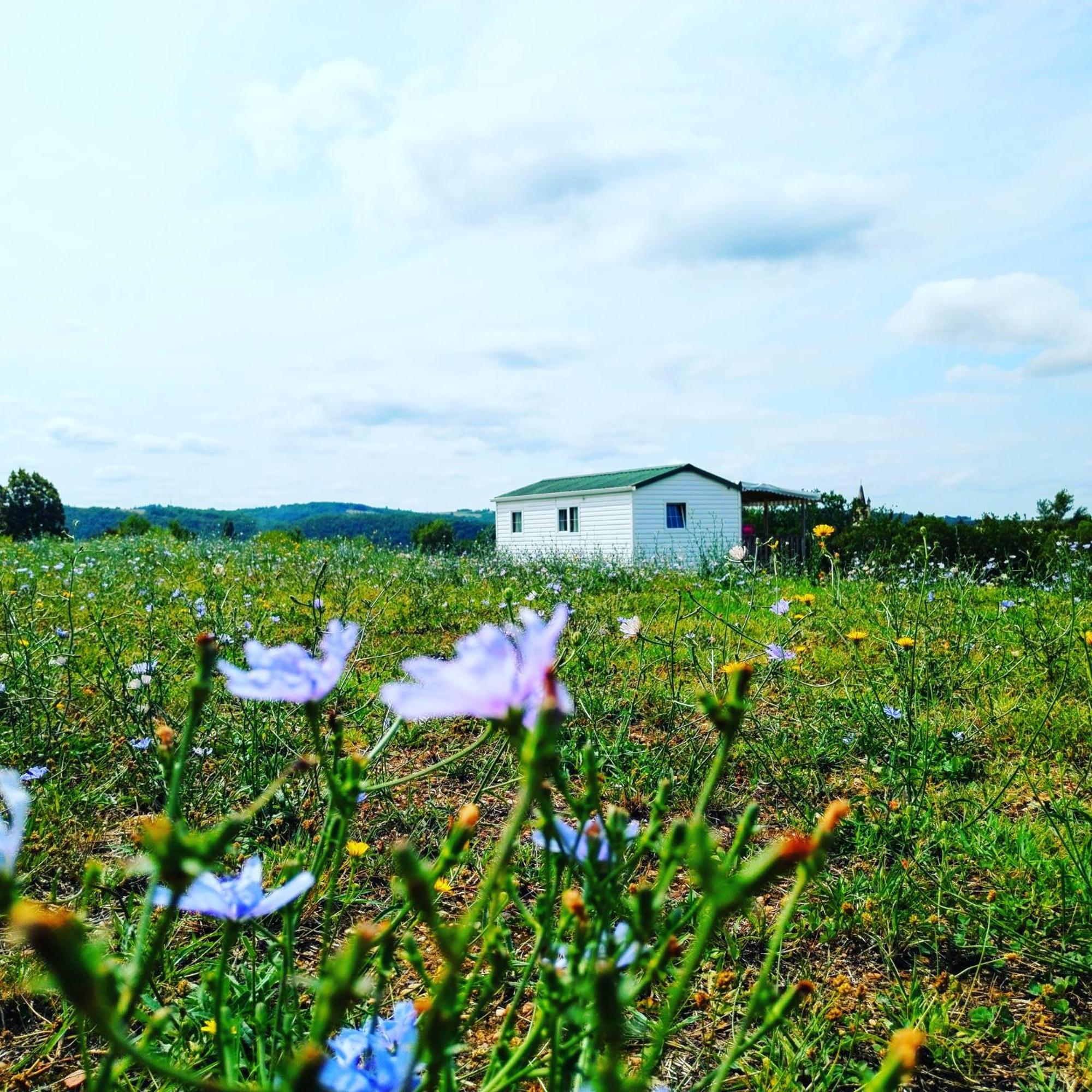 Camping Nature Le Valenty Mobil-Home-Dordogne Panoramique Clim Piscine Soturac Eksteriør billede
